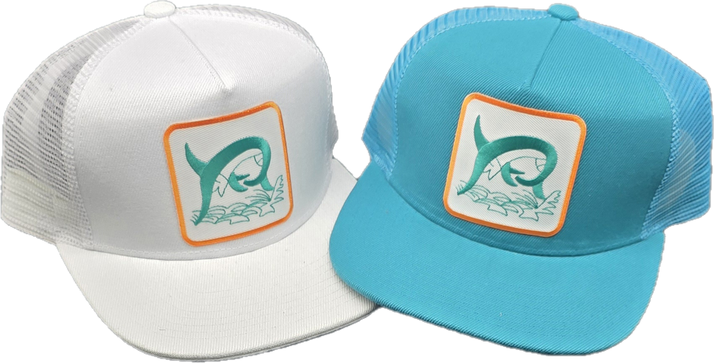 Dolphins colors Trucker Hat